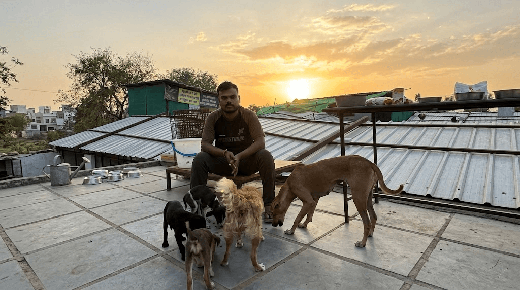 Dog shelter 1